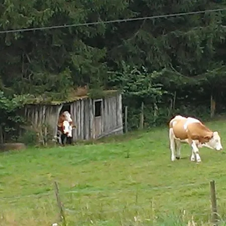 Martina Frey דירה *