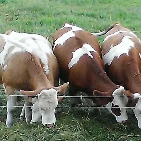 דירה Martina Frey *