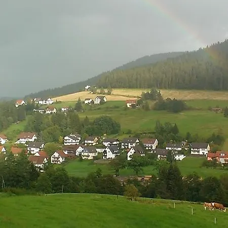 Martina Frey באיירסברון