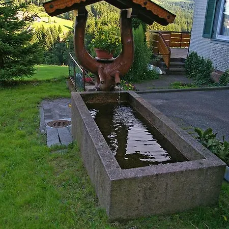 Martina Frey באיירסברון