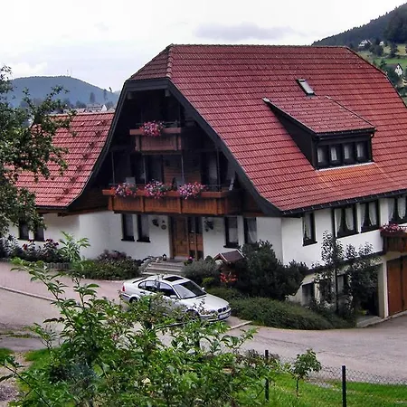 Martina Frey באיירסברון